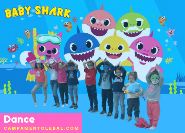 campamento lebal campamento de verano pamplona campamento lebal campamento de verano pamplona